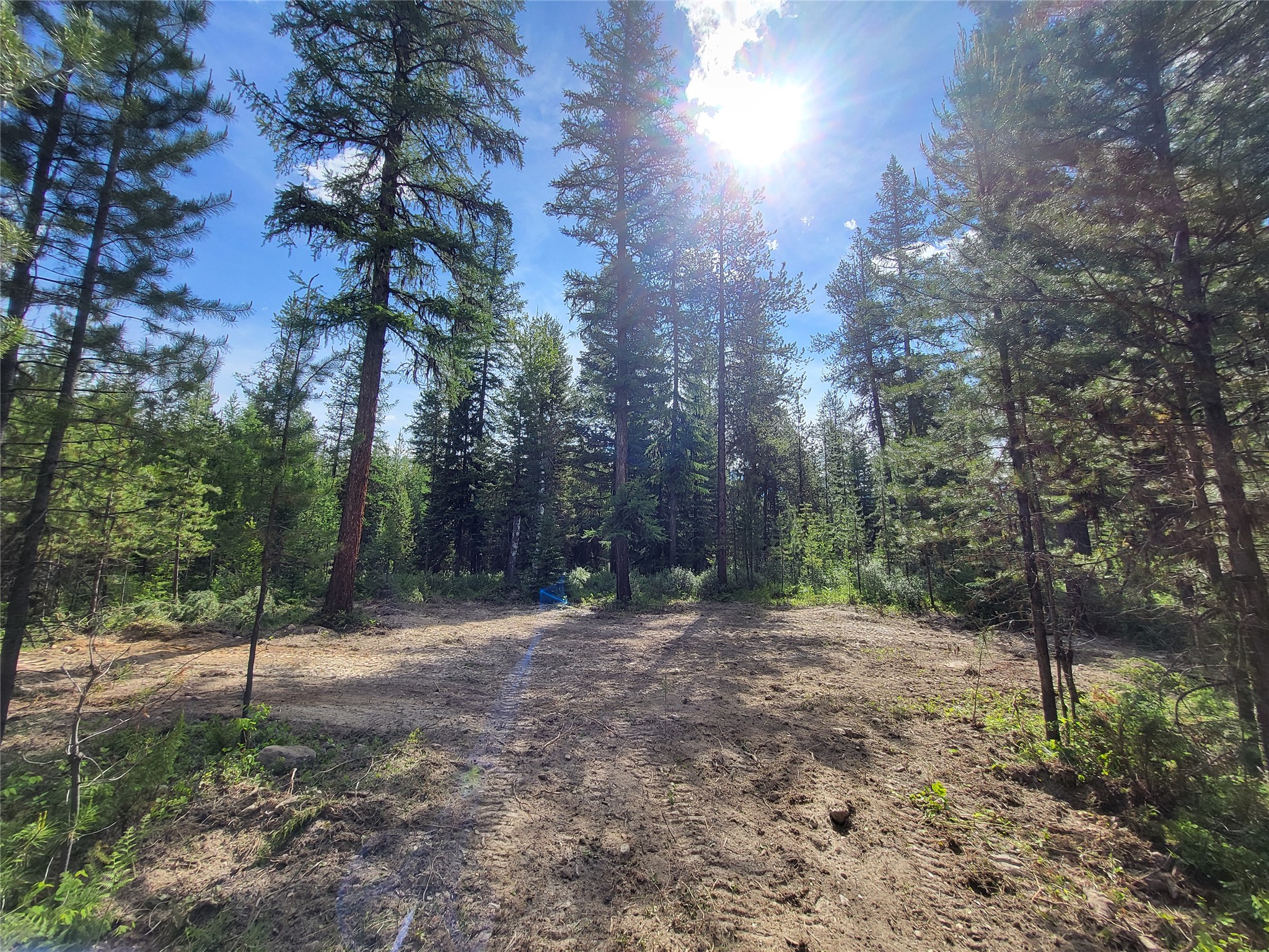 34388 Shay Lake Road