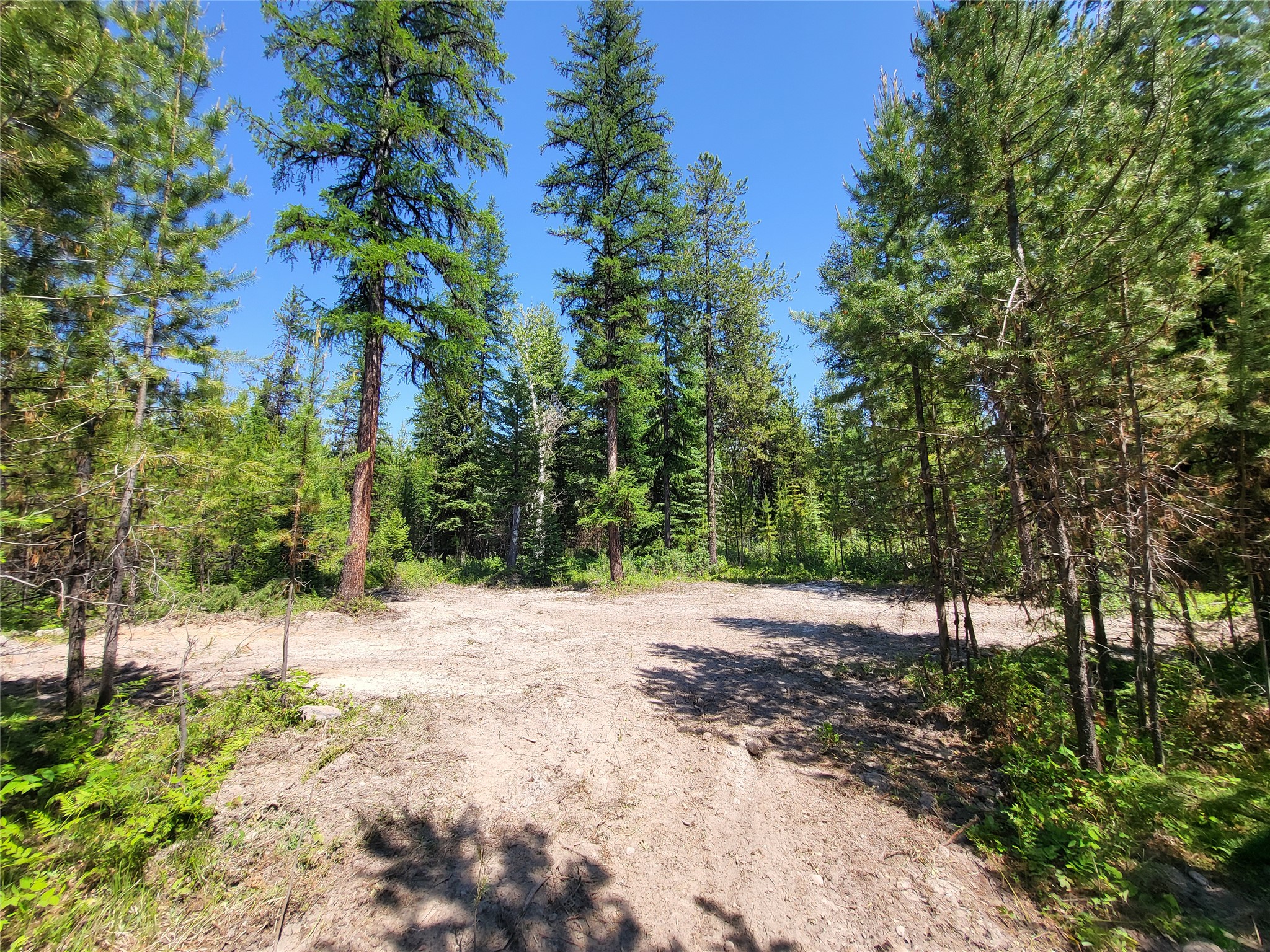 34388 Shay Lake Road