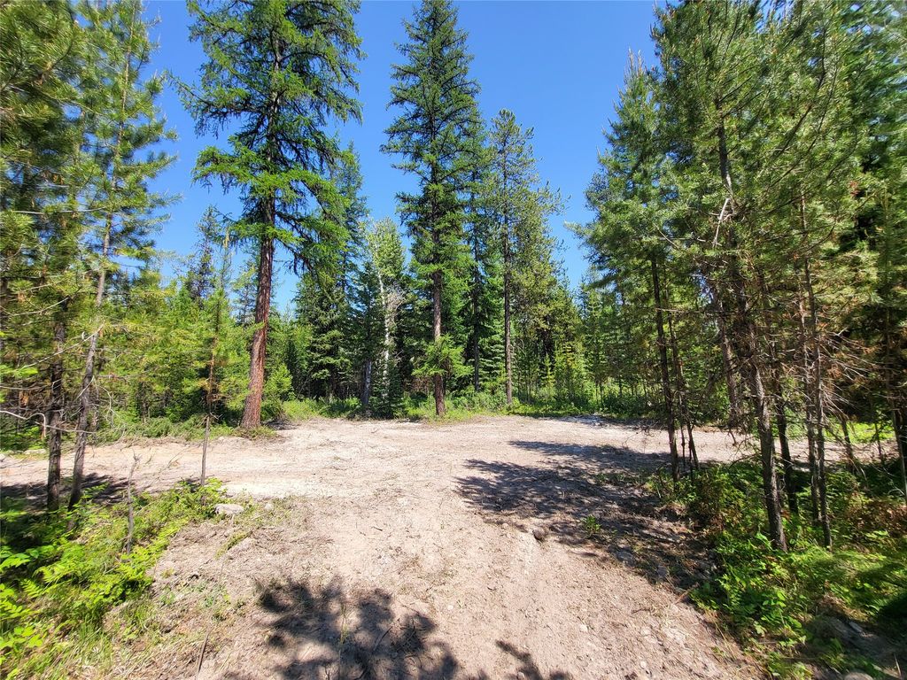 Photo of 34388 Shay Lake Road, Bigfork, MT 59911 (MLS # 30067791)