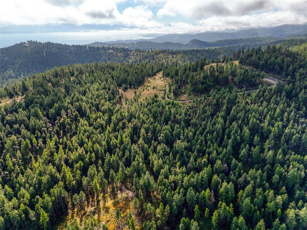 Photo of NHN Buffalo Lane, Somers, MT 59932 (MLS # 30068976)