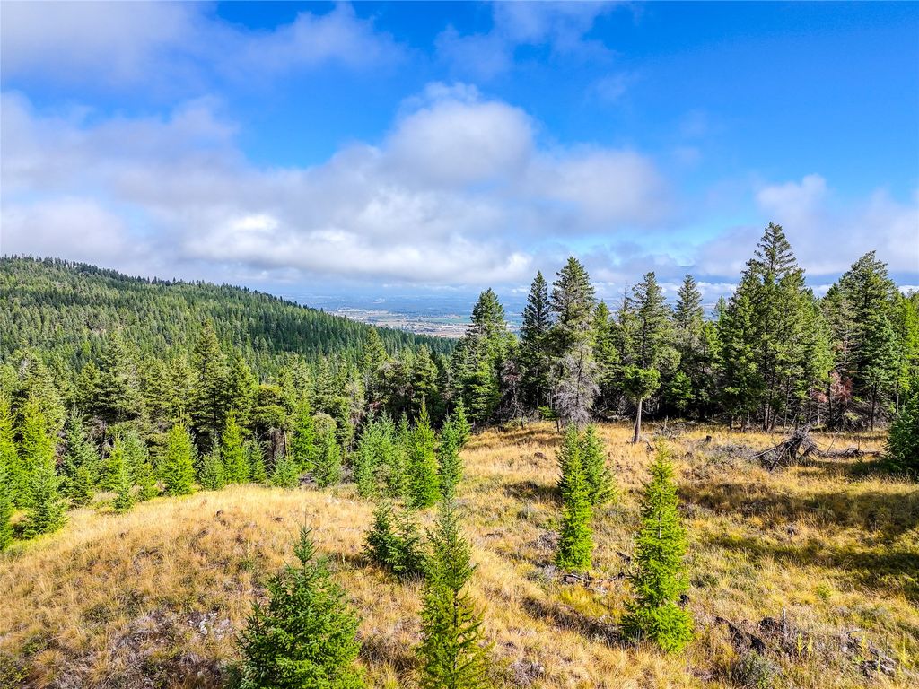 Photo of NHN Buffalo Lane, Somers, MT 59932 (MLS # 30068976)