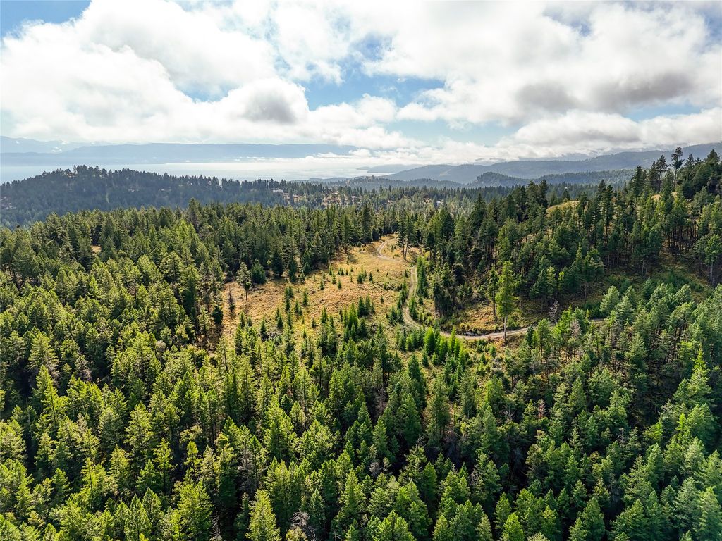 Photo of NHN Buffalo Lane, Somers, MT 59932 (MLS # 30068976)