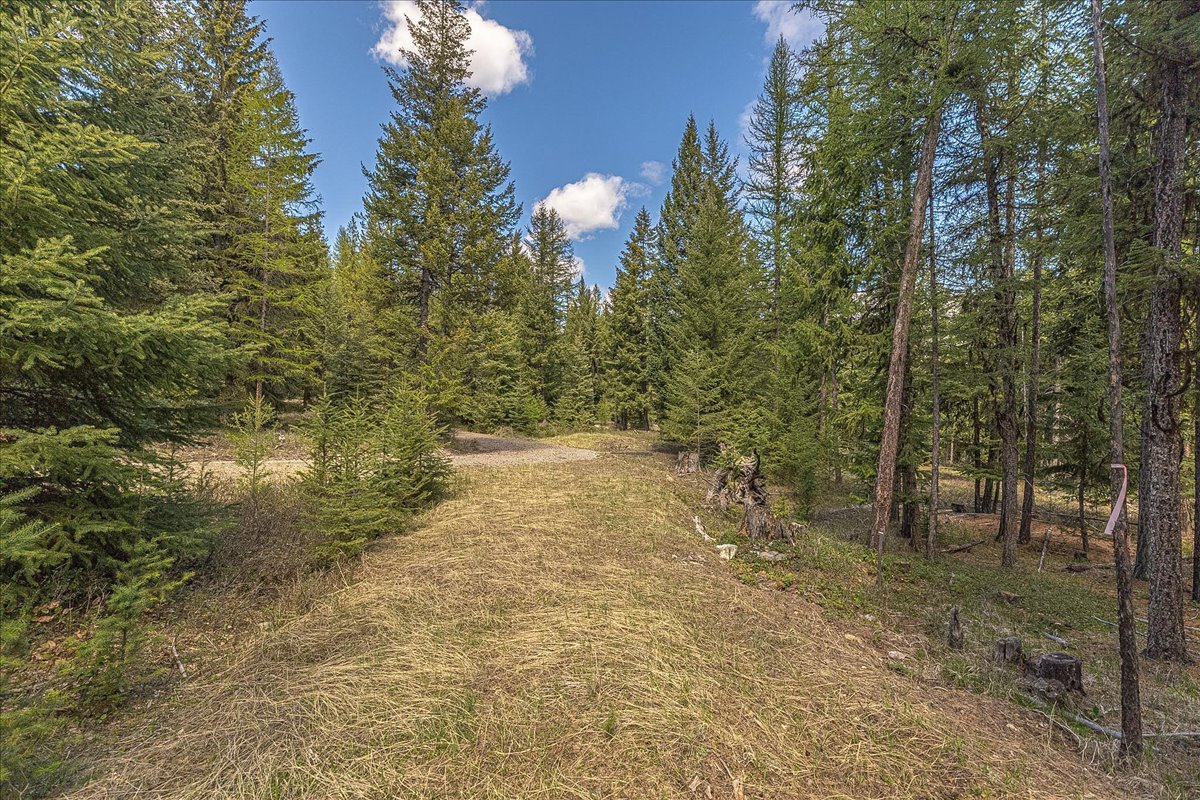 311 Bear Trap Road