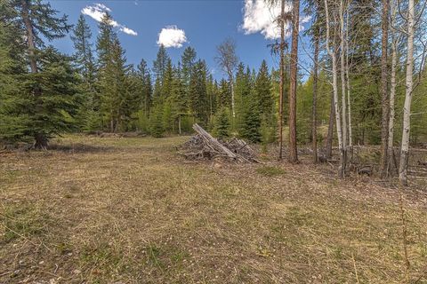 Tiny photo for 311 Bear Trap Road, Rexford, MT 59930 (MLS # 30070605)