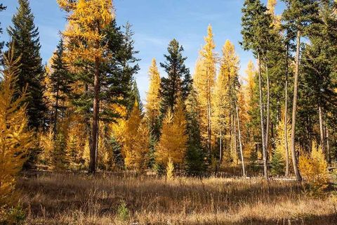 Tiny photo for 311 Bear Trap Road, Rexford, MT 59930 (MLS # 30070605)