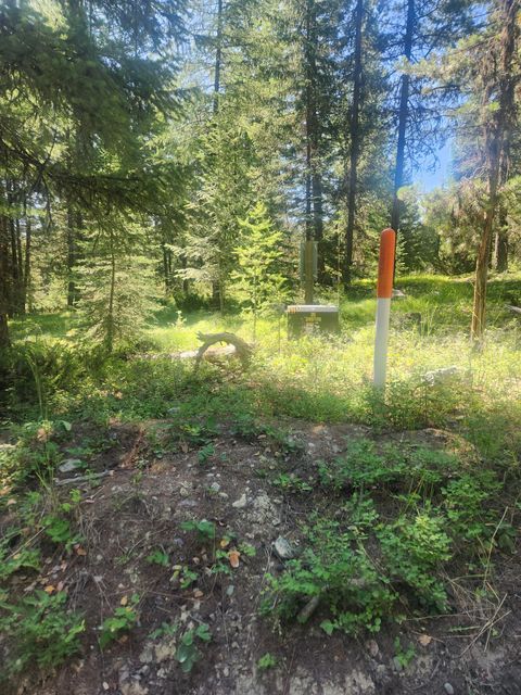 Tiny photo for 311 Bear Trap Road, Rexford, MT 59930 (MLS # 30070605)