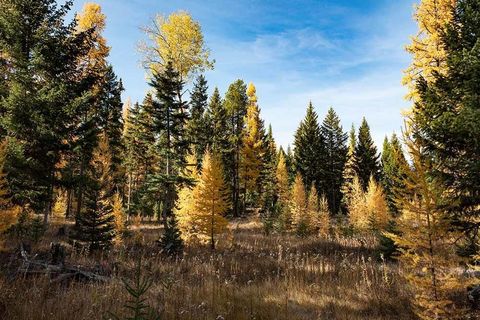 Tiny photo for 311 Bear Trap Road, Rexford, MT 59930 (MLS # 30070605)