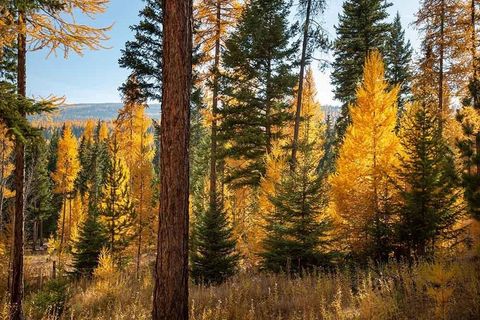 Tiny photo for 311 Bear Trap Road, Rexford, MT 59930 (MLS # 30070605)