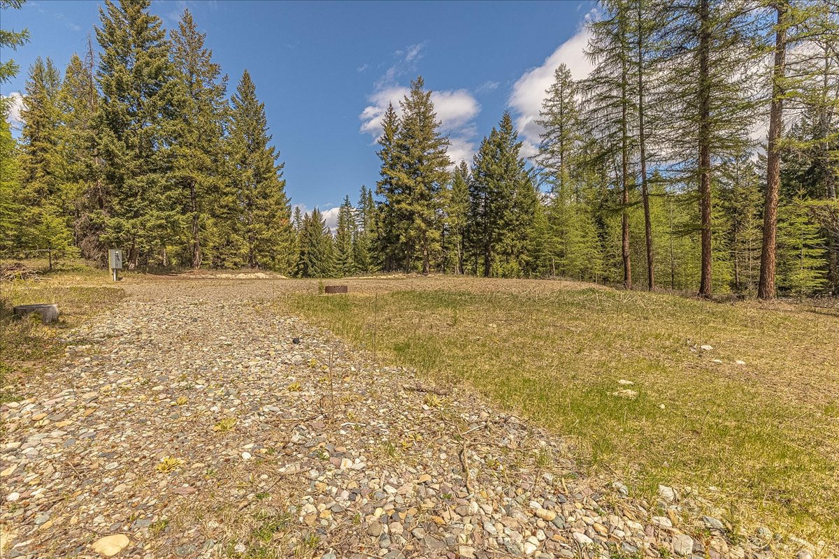 311 Bear Trap Road