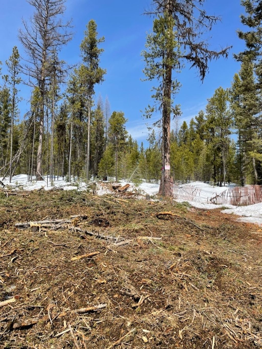 Photo of NHN Dirty Ike Creek Road, Clinton, MT 59825 (MLS # 30069568)