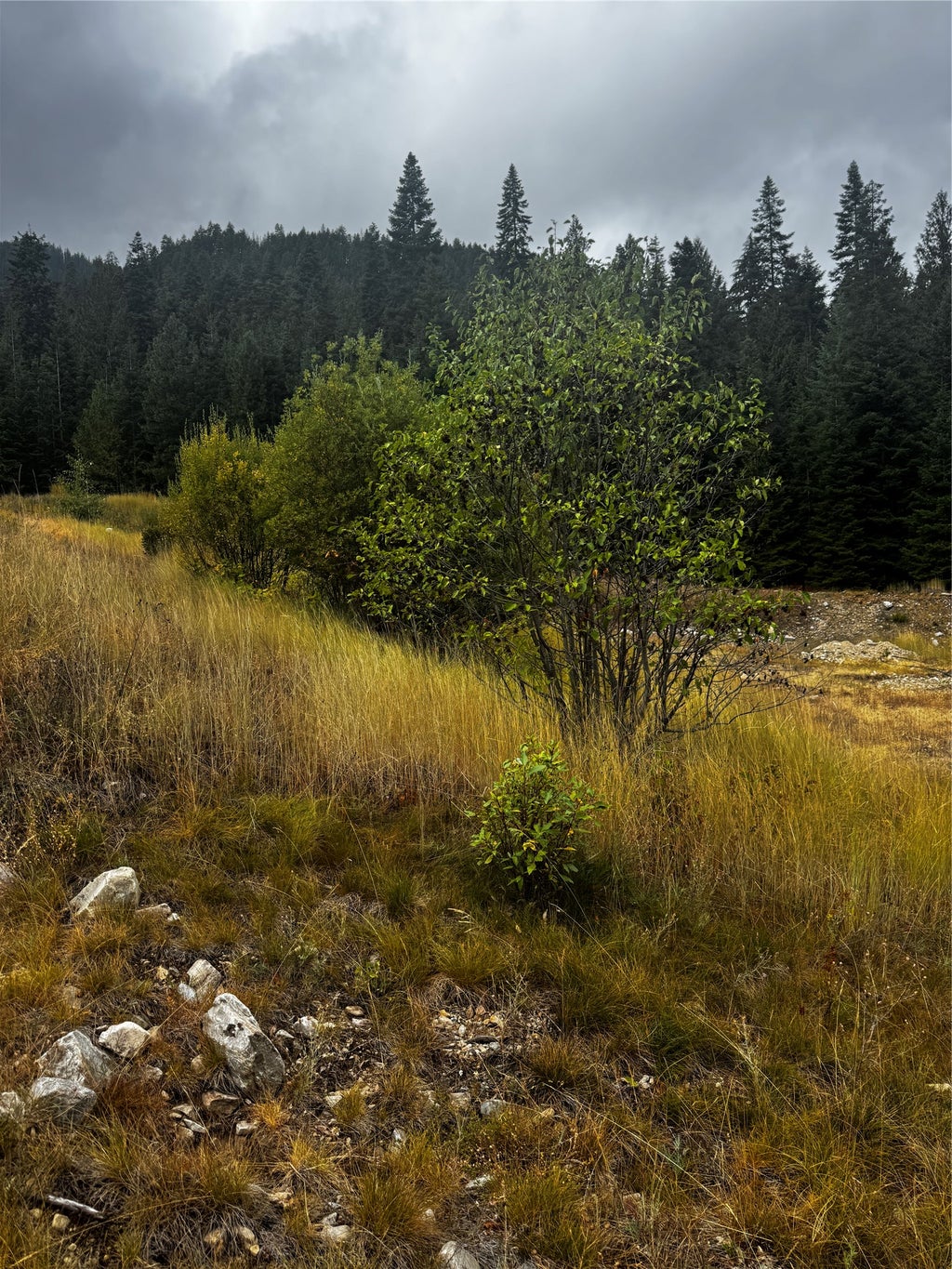 Photo of NHN Kyrans Lane, Troy, MT 59935 (MLS # 30078230)