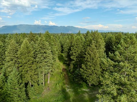 Tiny photo for 109 Lidstrom Road, Whitefish, MT 59937 (MLS # 30064866)