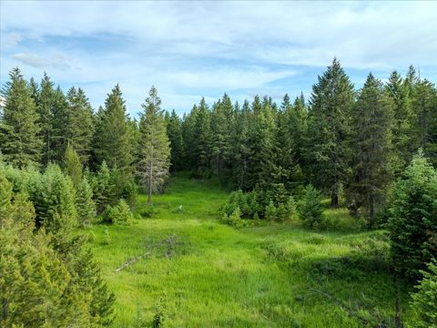 Tiny photo for 109 Lidstrom Road, Whitefish, MT 59937 (MLS # 30064866)