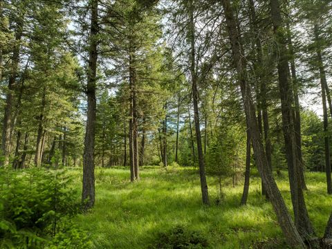 Tiny photo for 109 Lidstrom Road, Whitefish, MT 59937 (MLS # 30064866)