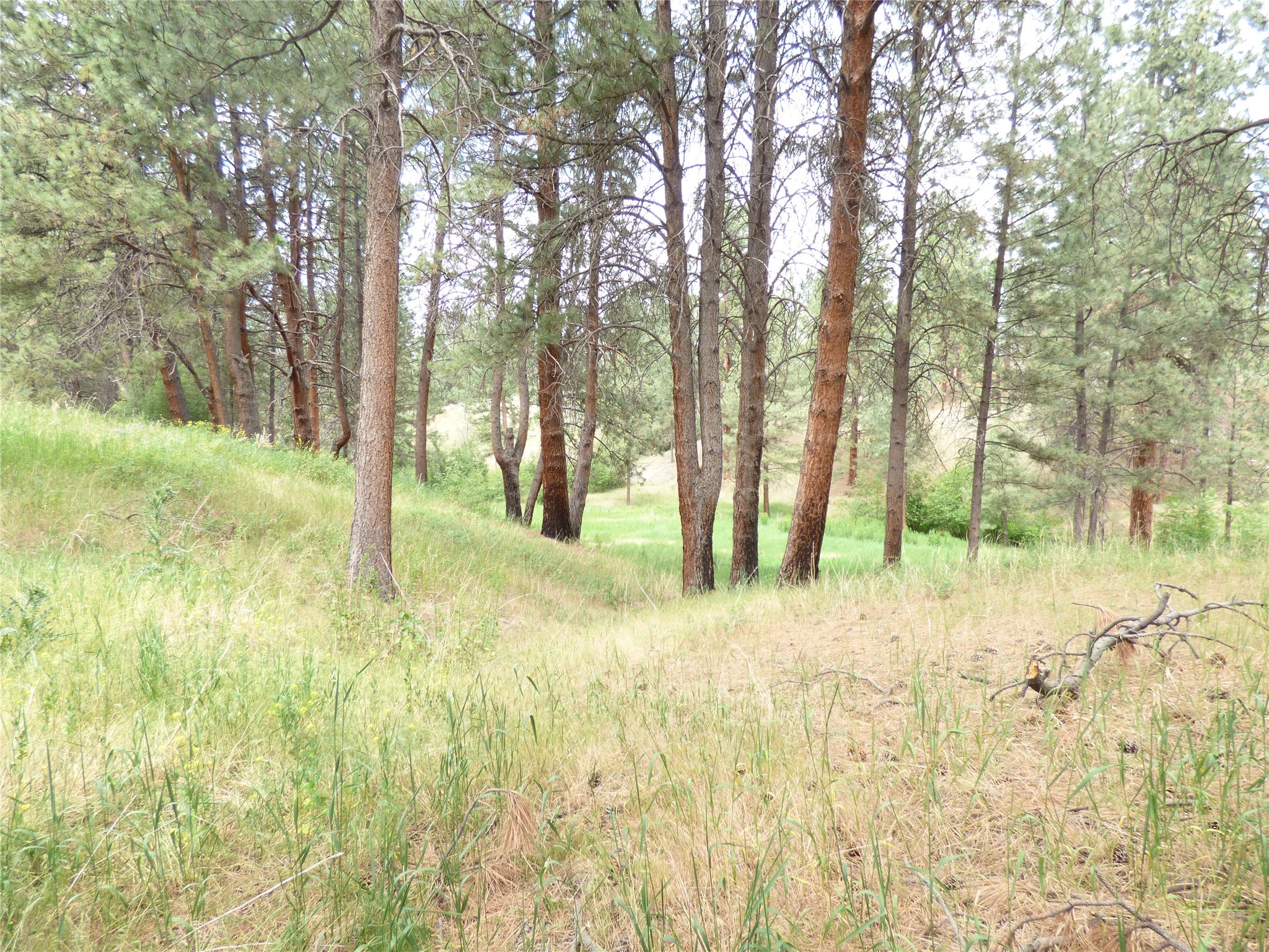 1254 & 1256 Sheep Creek Road