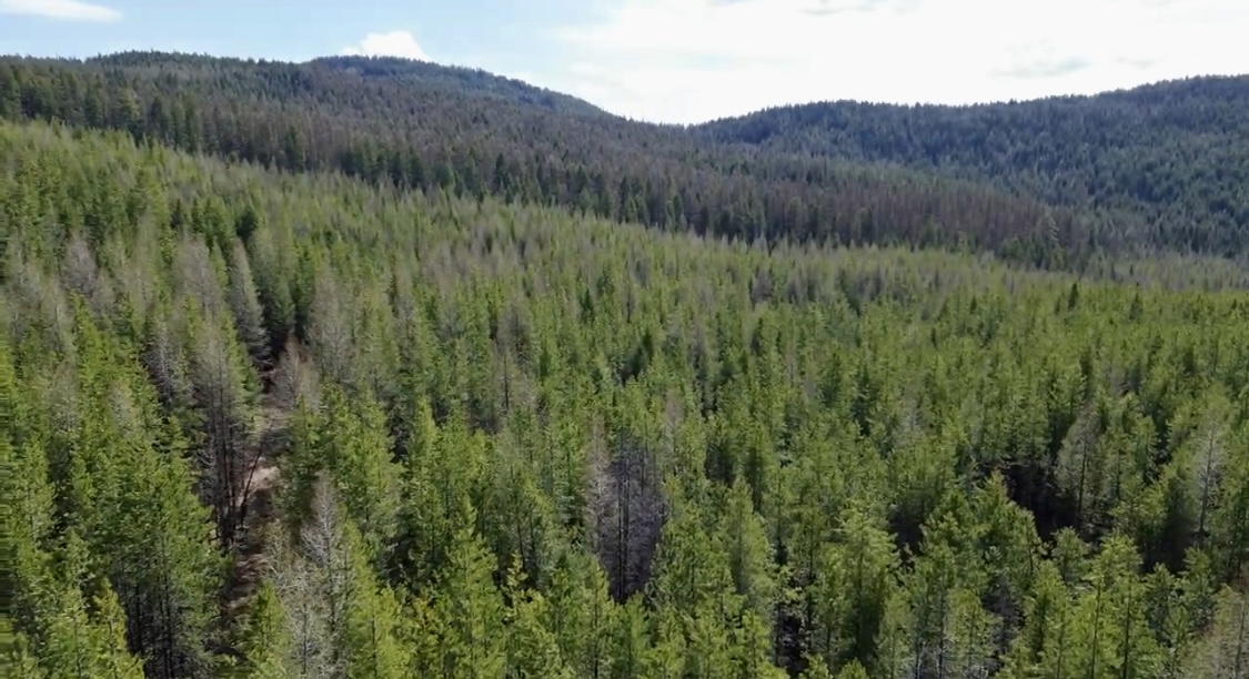 NHN Iron Horse Road