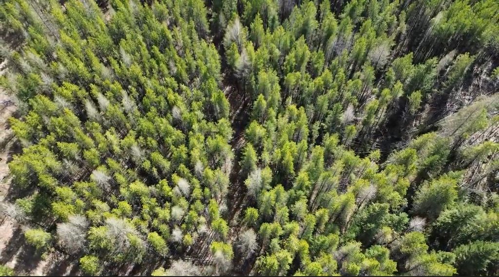 Photo of NHN Iron Horse Road, Trego, MT 59934 (MLS # 30067861)