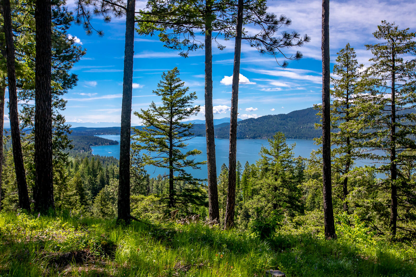 362 Mule Deer Trail