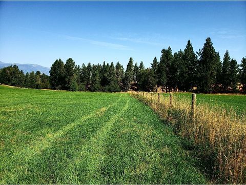 804 Drift In Lane Stevensville MT 59870