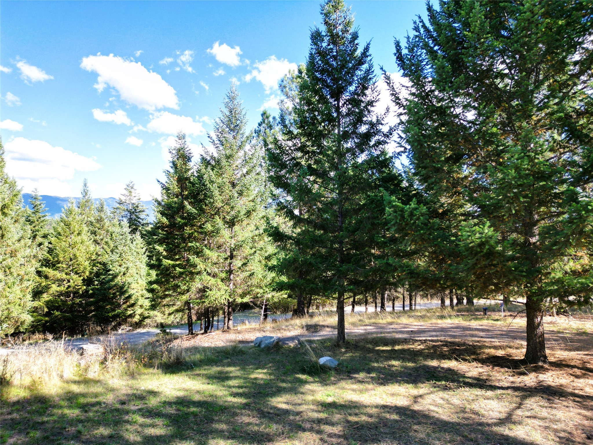 132 Summit Trail