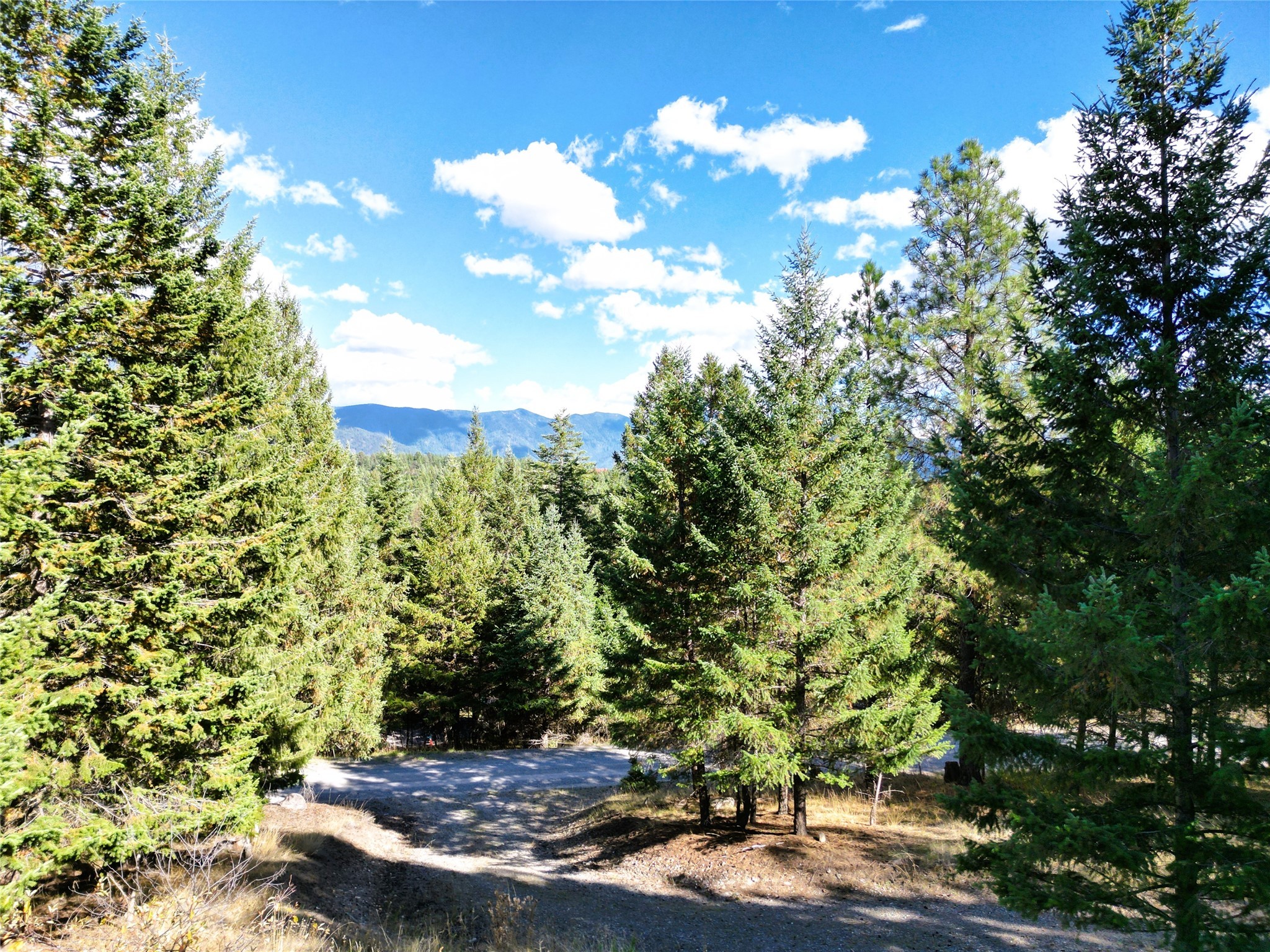 132 Summit Trail