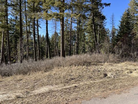 Photo of 137 Wood Ridge Drive, Columbia Falls, MT 59912 (MLS # 30066324)