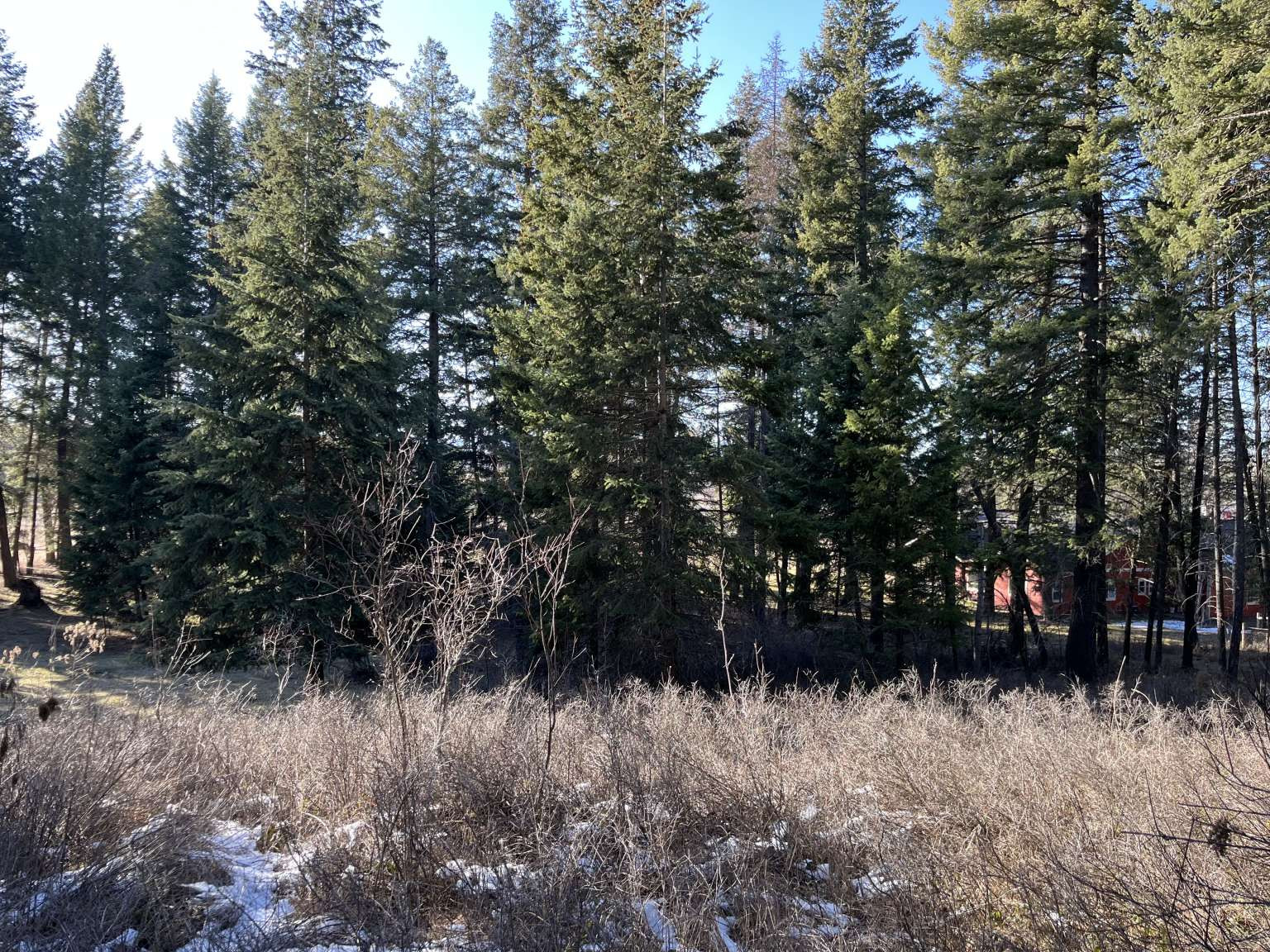 137 Wood Ridge Drive