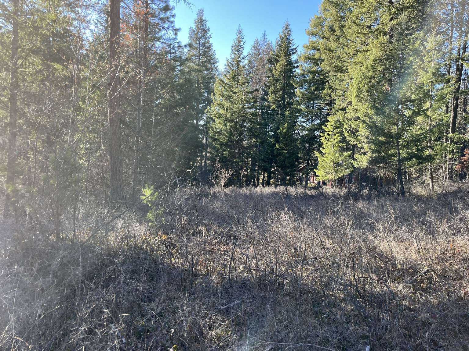 137 Wood Ridge Drive