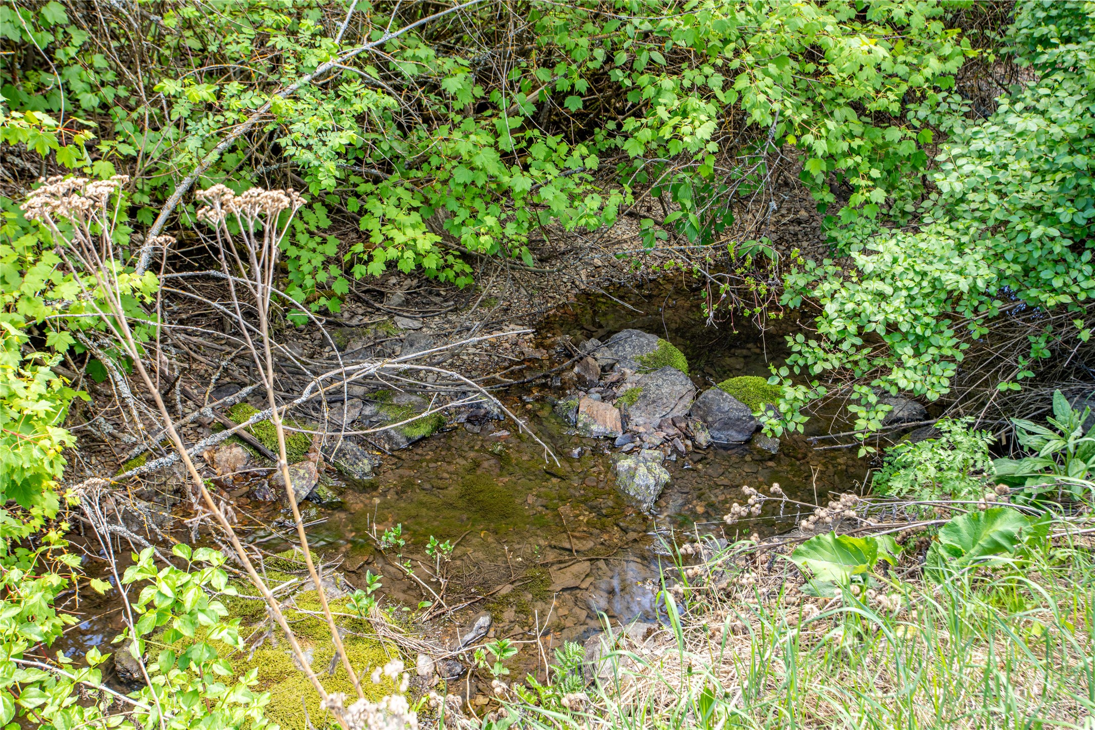 15405 Us Highway 93 N