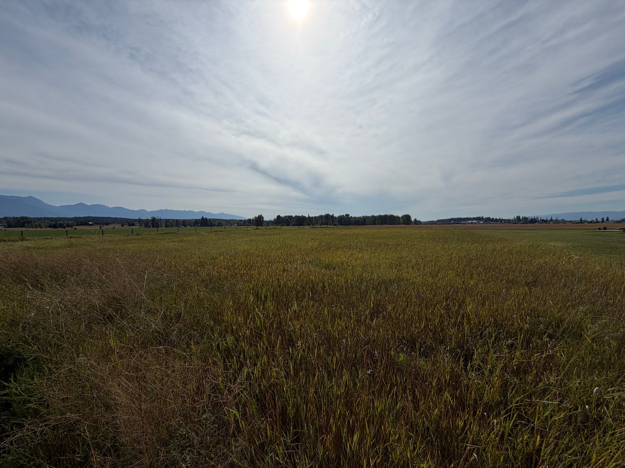 4675 MT Highway 35