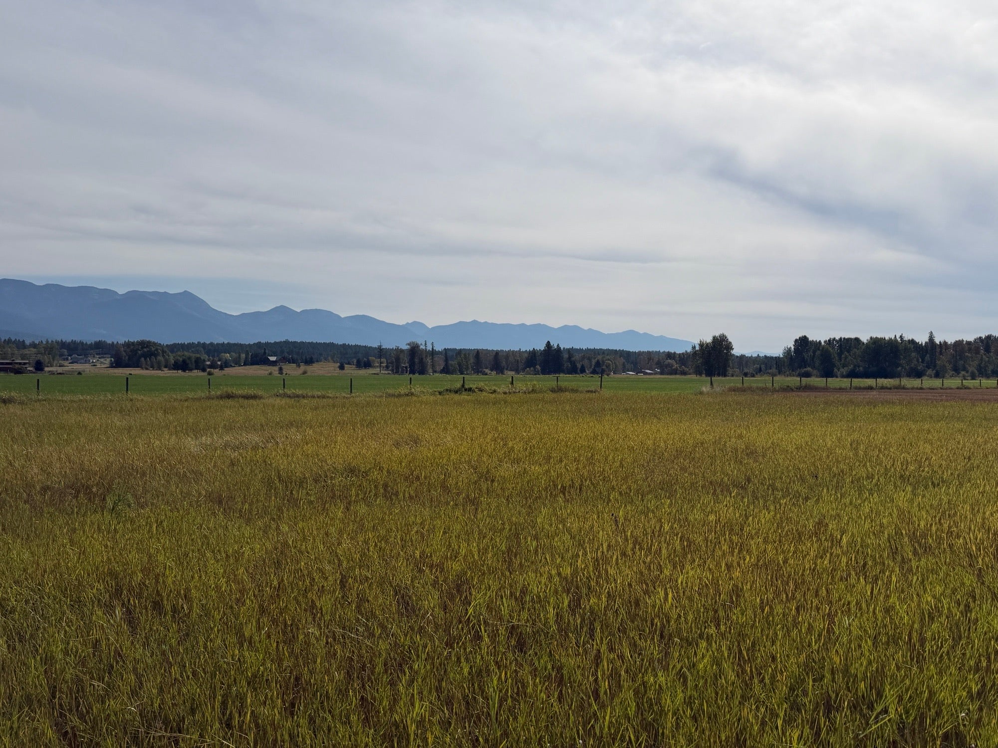 4675 MT Highway 35