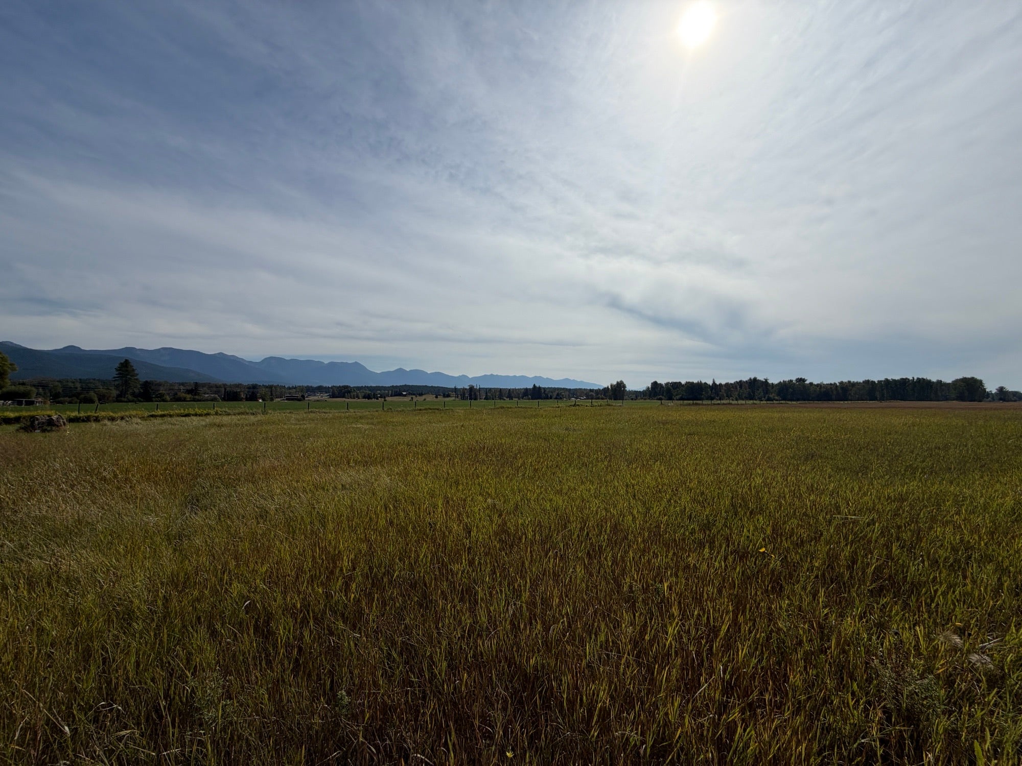 4675 MT Highway 35