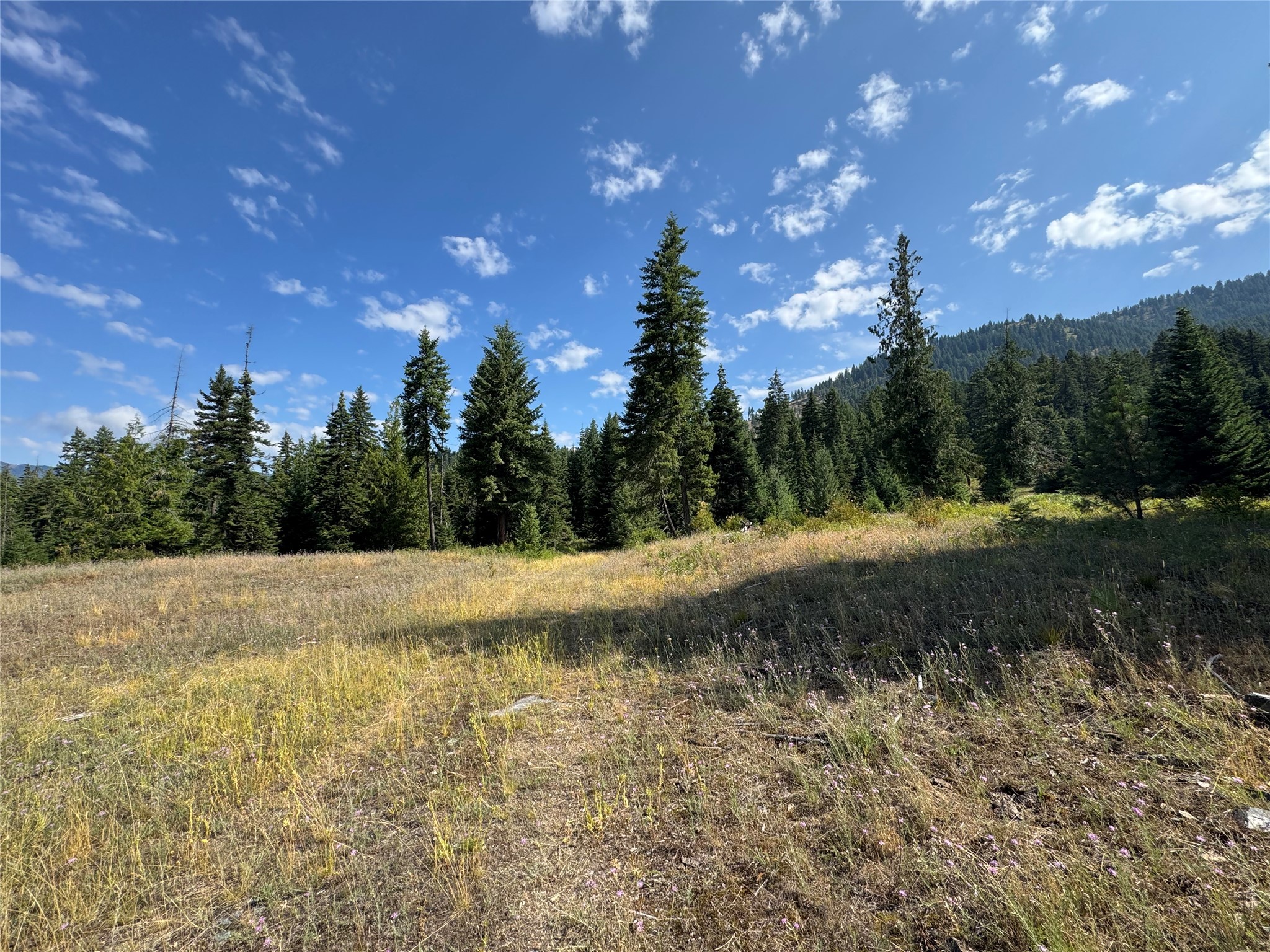 NHN Green Ridge Road