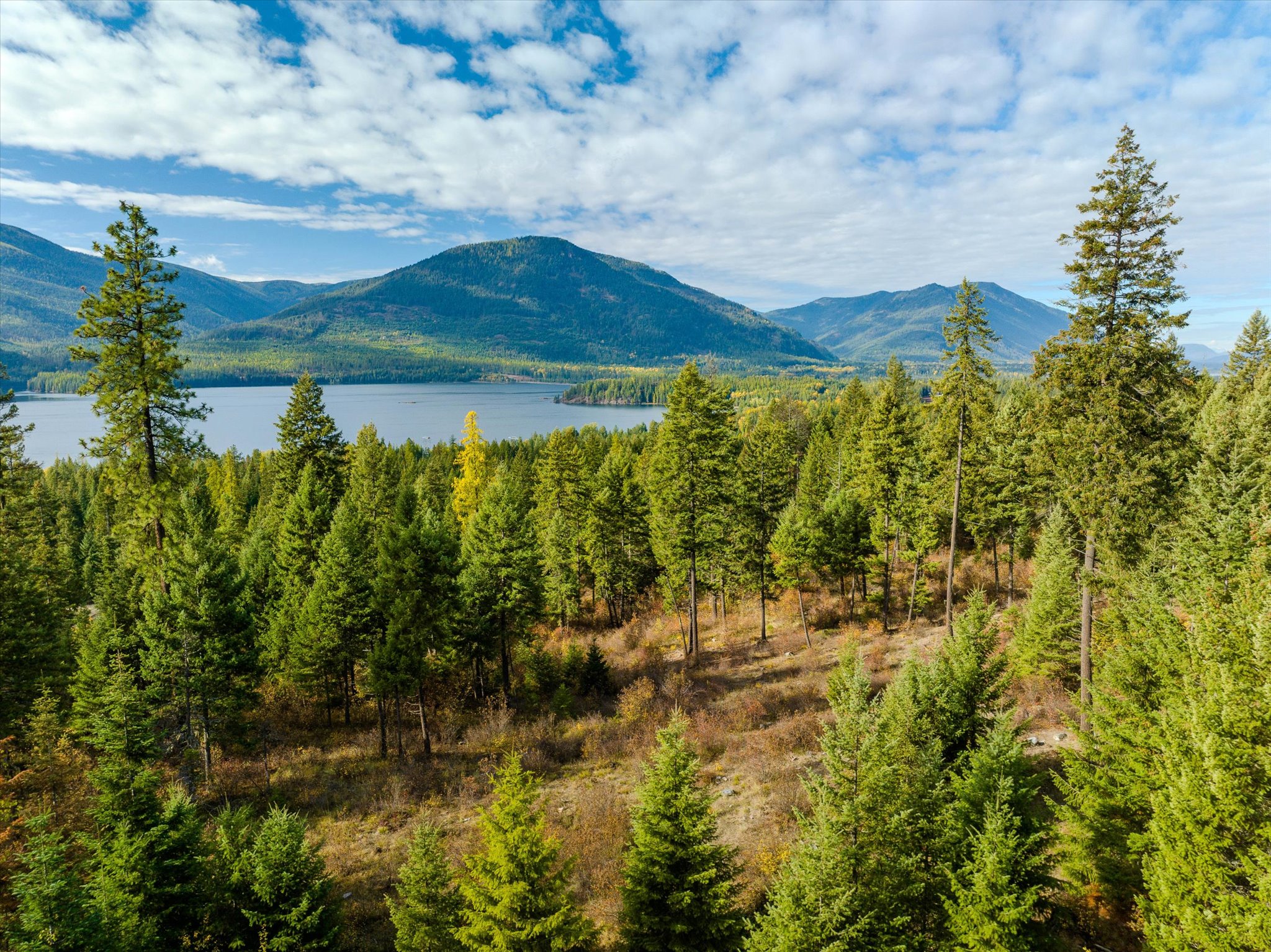 NHN McKay Minor Road