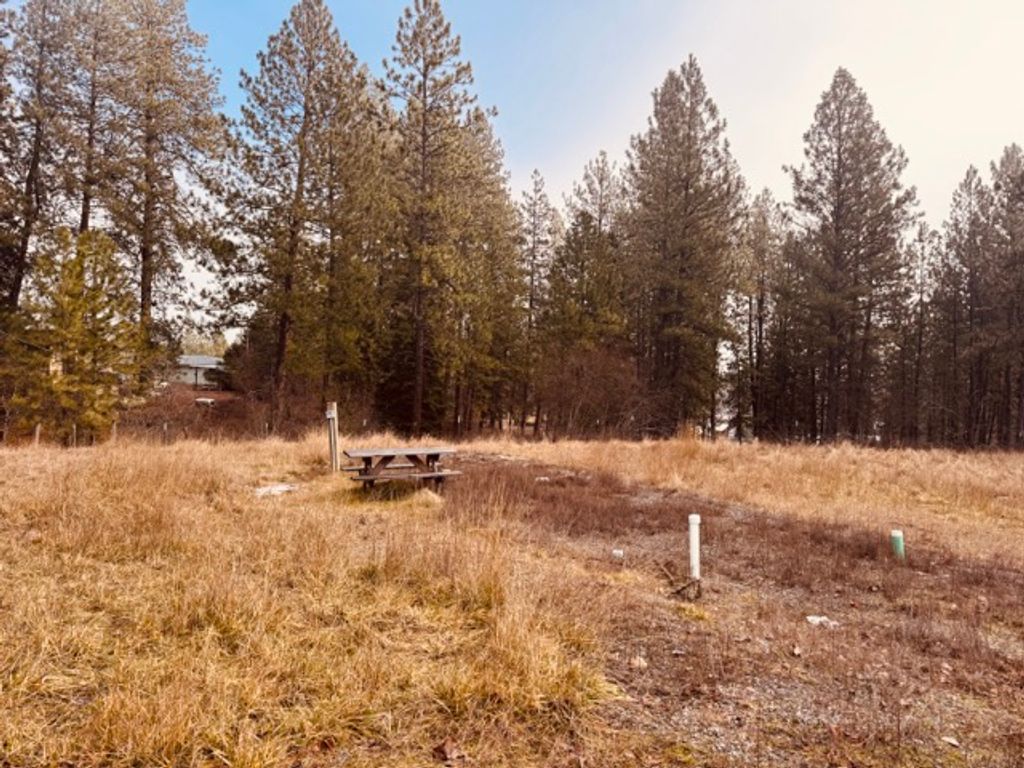 Photo of 511 4th Avenue E, Thompson Falls, MT 59873 (MLS # 30064081)