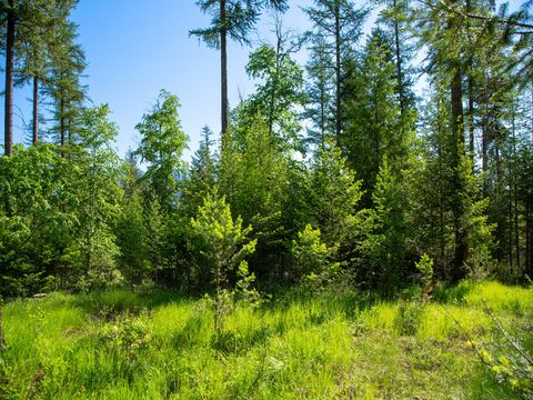 Tiny photo for 308 Haugen Heights, Whitefish, MT 59937 (MLS # 30069175)