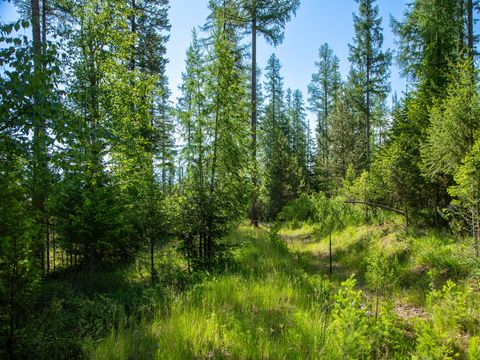 Tiny photo for 308 Haugen Heights, Whitefish, MT 59937 (MLS # 30069175)