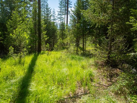 Tiny photo for 308 Haugen Heights, Whitefish, MT 59937 (MLS # 30069175)