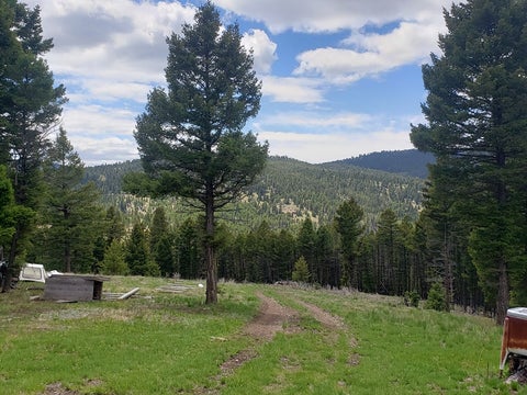 Tiny photo for 513 Spruce Gulch Road, Helmville, MT 59843 (MLS # 30074049)