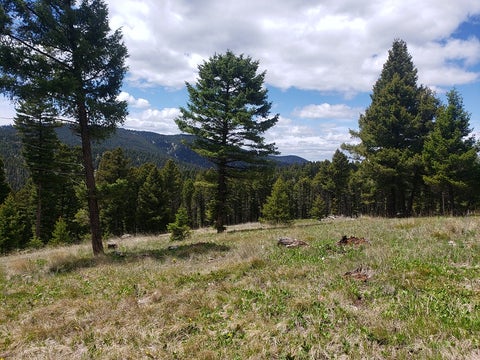 Tiny photo for 513 Spruce Gulch Road, Helmville, MT 59843 (MLS # 30074049)