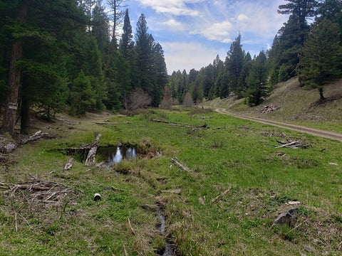 Tiny photo for 513 Spruce Gulch Road, Helmville, MT 59843 (MLS # 30074049)