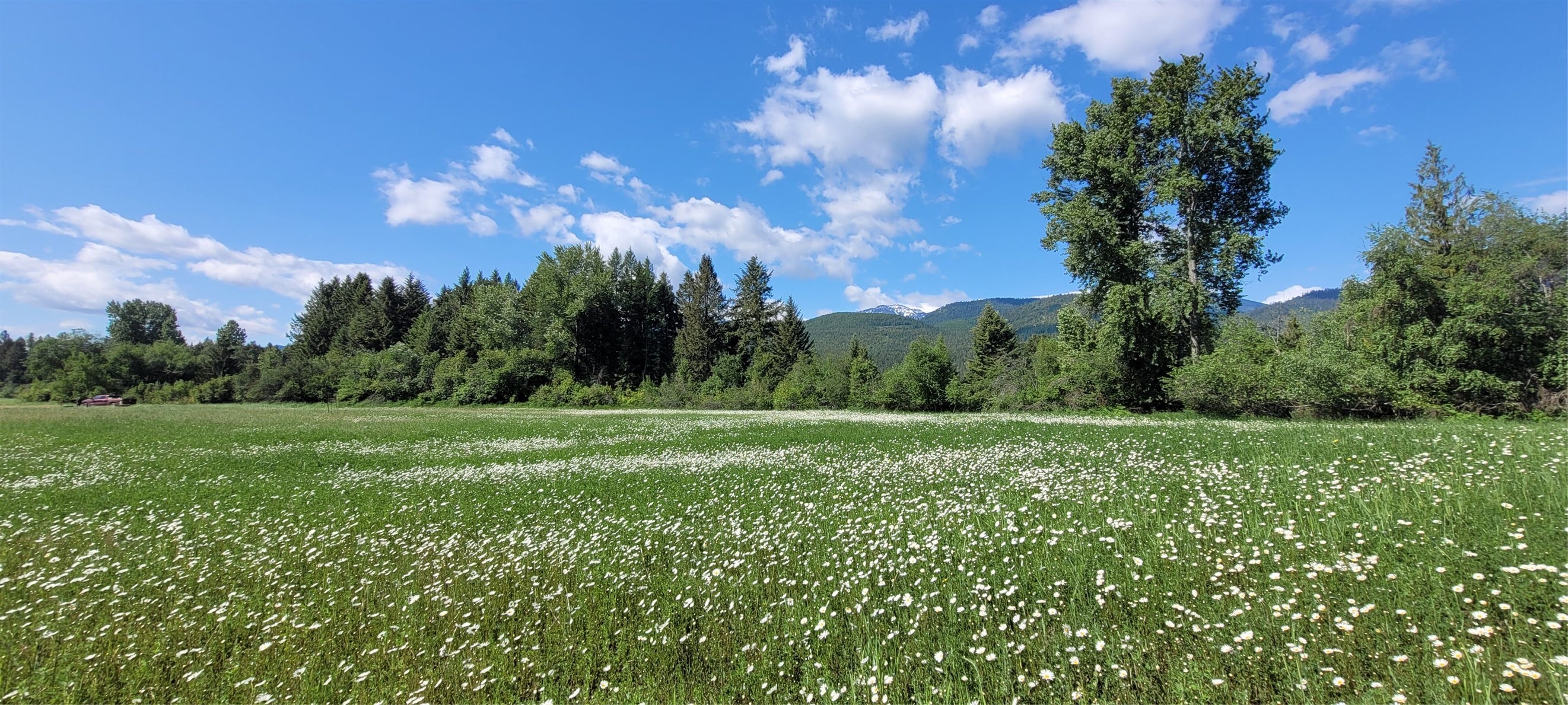 1074 Kootenai Views Drive