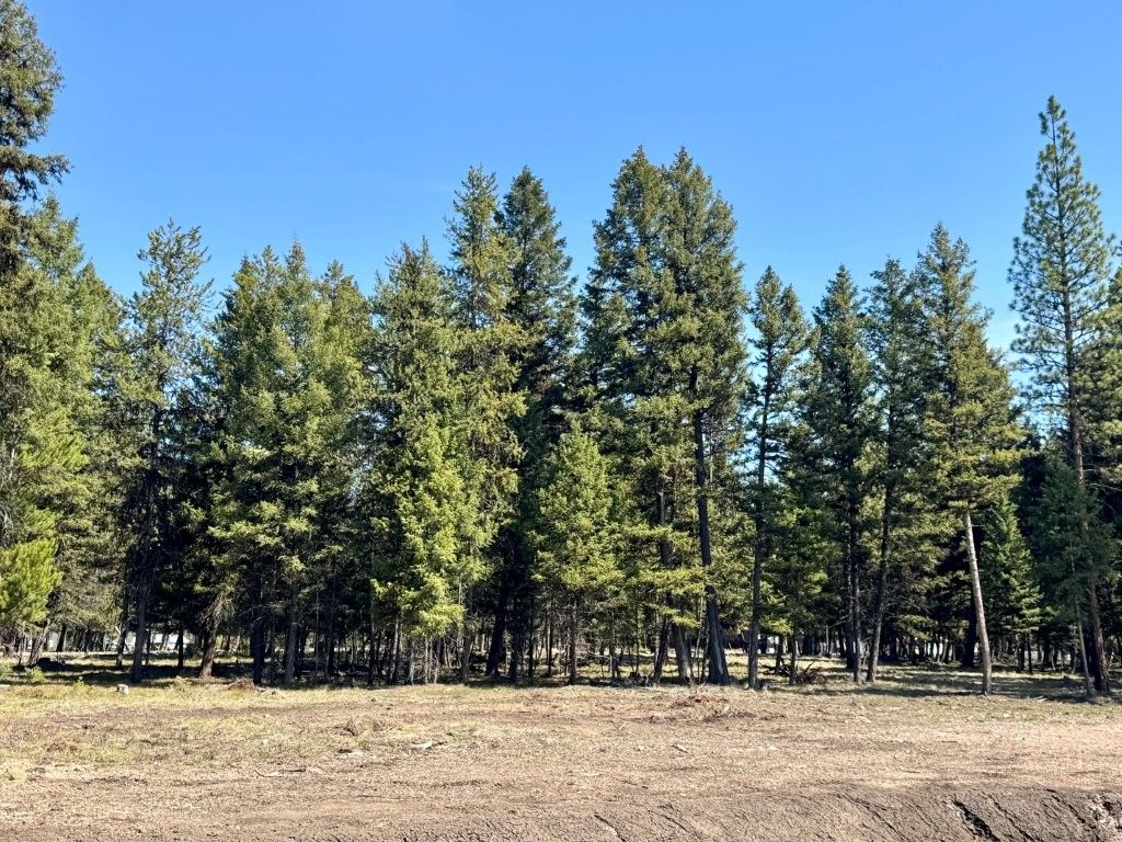 Photo of 134 Nordic Way, Seeley Lake, MT 59868 (MLS # 30066961)