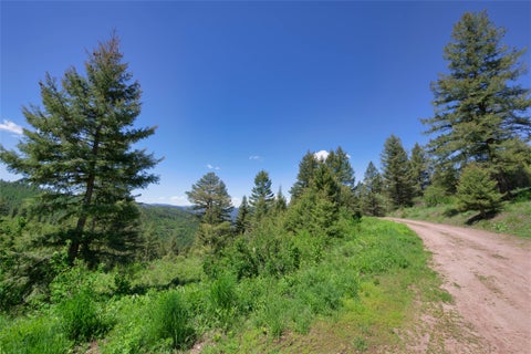 Tiny photo for 25575 Patter Spur Road, Clinton, MT 59825 (MLS # 30072535)