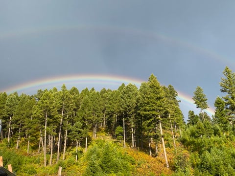 Tiny photo for 25575 Patter Spur Road, Clinton, MT 59825 (MLS # 30072535)