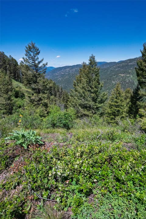 Tiny photo for 25575 Patter Spur Road, Clinton, MT 59825 (MLS # 30072535)