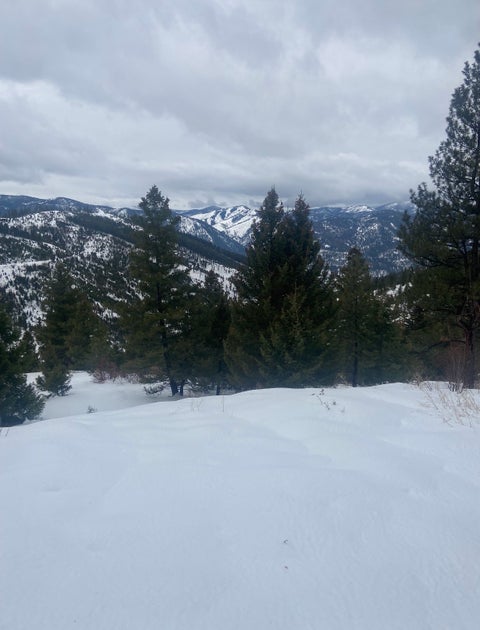 Tiny photo for 25575 Patter Spur Road, Clinton, MT 59825 (MLS # 30072535)