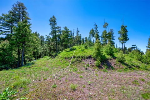 Tiny photo for 25575 Patter Spur Road, Clinton, MT 59825 (MLS # 30072535)