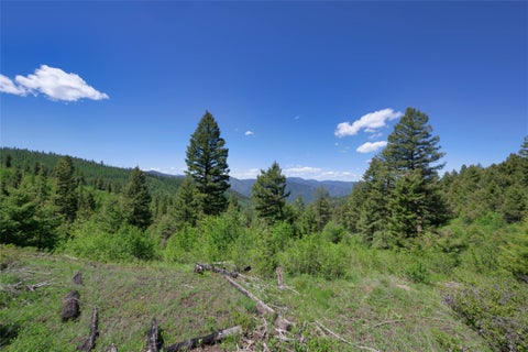 Tiny photo for 25575 Patter Spur Road, Clinton, MT 59825 (MLS # 30072535)