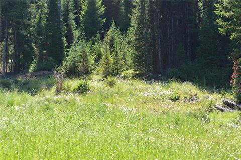 Tiny photo for NHN Logan Creek Road, Whitefish, MT 59937 (MLS # 30054124)
